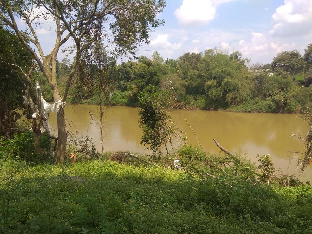 Dreams River View Homestay Coorg Kushālnagar Exteriér fotografie